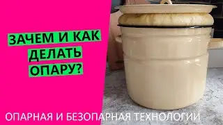 Зачем нужна опара? Об опарном и безопарном тесте | Как и для чего делать опару?