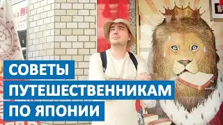 Япония открыла границы для туристов! Путешествия по Японии, советы от студента школы Мацудо