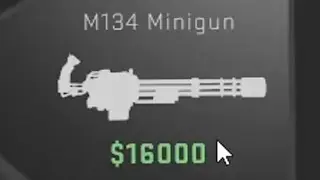 This is why you need $16.000 in csgo: