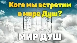 Кого мы встретим в мире Душ