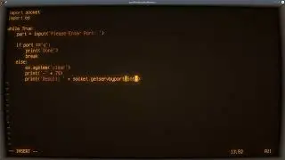 Python ASMR - Get Service by Port - No Talking