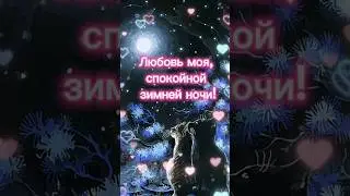 Любовь моя, спокойной ночи! #shorts