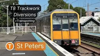 Sydney Transport Vlog 456: St Peters - T8 Trackwork Diversions