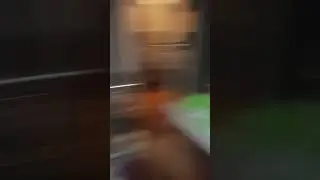 видео из рил лайф