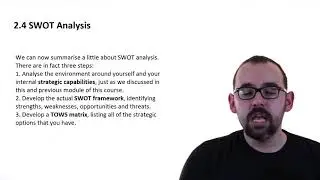 2.4 SWOT Analysis
