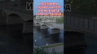 Что происходит на границе в 