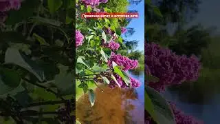 #даугавпилс