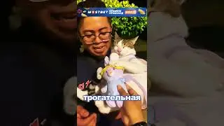 Самый милый котик в мире