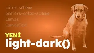 Bu CSS Özelliklerini Seveceksiniz!