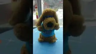 Собака на батарейках поющая и танцующая