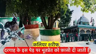 कलियर शरीफ दरगाह रहस्यमयी पेड़ Kaliyar sharif me ped par kaid kare jaate he bootpret