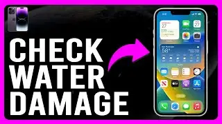 How to Check iPhone for Water Damage (How to Tell If Your iPhone Has Water Damage)