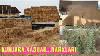 Кунжара, кепак, самон, беда...нархлари