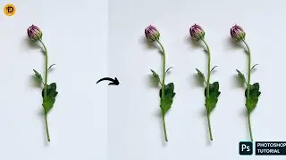 2 Best Ways To Duplicate An Object | Photoshop Tutorial 2024