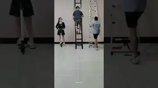 Folding Telescopic Ladder 