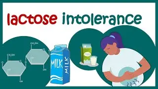 Lactose intolerance | Why you cannot digest milk or dairy products? | Animated biology with Arpan