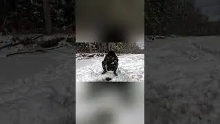 Тьма Рыбы под водой… |рыбалка в России | #fishing  #рыбалка #shorts