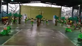 Puangi NHS
