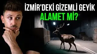 TUHAF ŞEYLER OLUYOR! İZMİR'DEKİ GİZEMLİ GEYİK BİR ALAMET Mİ?