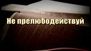 Не прелюбодействуй!