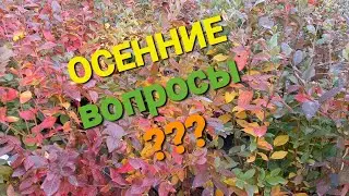 Ответы на 