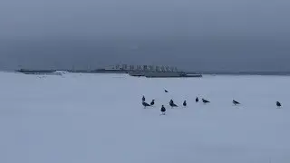 Рыбалка на корюшку на южной дамбе Финского залива