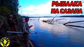 ВЫТЯГИВАЕМ САЗАНА ИЗ ПОД КОРЯГИ. Ловля сазана на Оби август 2022.