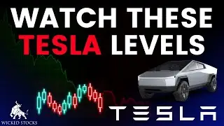 Tesla Stock Price Analysis | Top Levels To Watch for Wednesday, September 11th, 2024