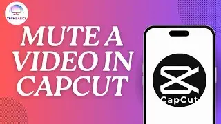 How to Mute A Video in CapCut