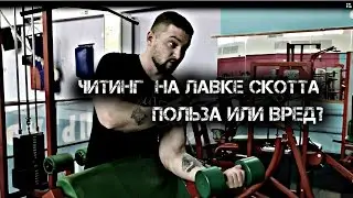 armwrestling. Читинг при подъеме гантели на бицепс  на лавке Скотта.