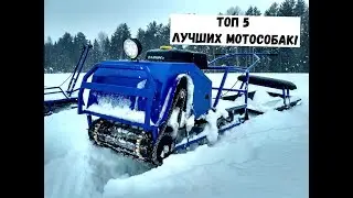 ✔ТОП-5 ЛУЧШИХ МОТОБУКСИРОВЩИКОВ ТОЛКАЧЕЙ ДЛЯ ОХОТЫ И РЫБАЛКИ! 