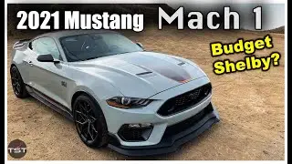 Mustang Mach 1: Best Mustang GT Ever? - Two Takes