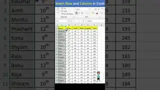 Insert Row and Column in Excel 