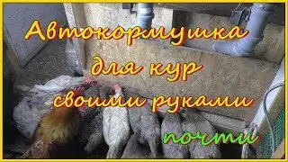 ДОЛГОЖДАННОЕ ВИДЕО!!! Автоматическая кормушка для кур несушек сделанная своими руками (почти)