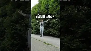 ТУЕВЫЙ ЗАБОР