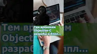 Зачем создали язык программирования Swift 2024 #программирование #хочувайти