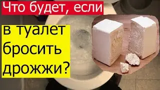 Что будет если в туалет бросить дрожжи? Дрожжи в туалет! Дрожжи в уличный туалет! Эксперимент!