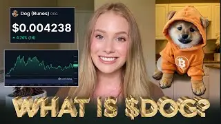 What is $DOG? (Explained in 2 minutes)