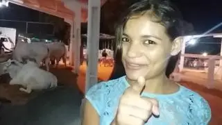 Ester tigresa munta no touro e ainda fais carinho nele kkk