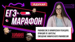 Равновесие в химических реакциях | ЕГЭ-марафон | Химия