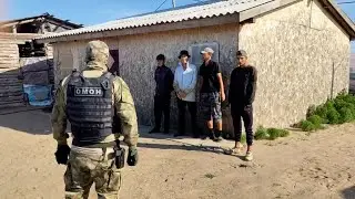 Шансы спрятаться равны нулю: смотрим, как силовики ловят мигрантов-нелегалов в Волгоградской области