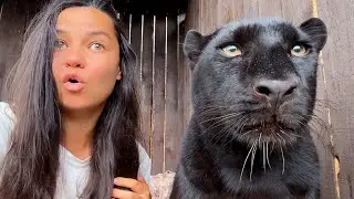 Got caught in a terrible storm with Luna the panther and Venza 😱(ENG SUB)