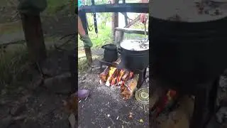 Бачек грибовницы на ужин))Shorts