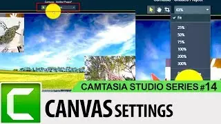 Working with Preview Canvas Settings | Camtasia Studio 9 Tutorials for Beginners #14 | SimplyInfo