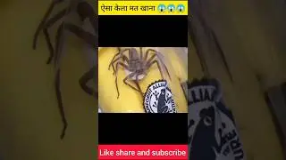 ये केला कभी मत खाना 😱 #shortsvideo #facts #youtubeshorts #amazingfacts #viral #shorts