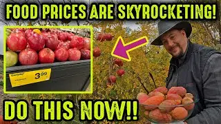 WARNING! Food Prices Are SKYROCKETING!! Do This NOW!!!