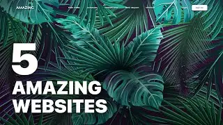 5 Inspirational Website Designs