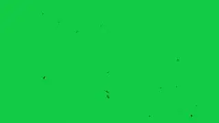 VHS Green Screen Effect | Retro Film Dust Effect Overlay | Free Download |  Copyright Free