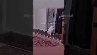 Заманчиво 😂
