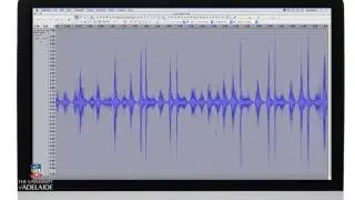 Equalisation: Low Cut & High Cut Using Audacity